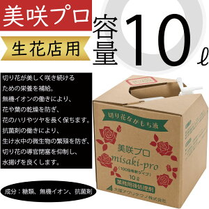 v 10bg ԓXp Ɩp ԗp ؂ ؉ lC ԉ t[AWg } t ԍ t[ |pi  @CI Rۍ 100{ gǂ