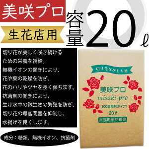 v 20bg ԓXp Ɩp ԗp ؂ ؉ lC ԉ t[AWg } t ԍ t[ |pi  @CI Rۍ 100{ gǂ