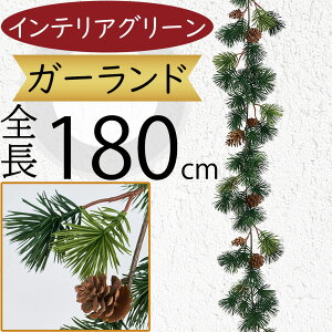 K[h  lC  }c tFCNO[ CeAO[ lHϗtA  A[eBtBVt[ t  A fR[V fBXvC ǖ Ǌ| 