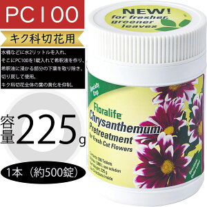 t[Ct PC 100 LNȐ؉ԗp e  LN 225g 500 ԍ   t } |pi |X ؂ԗp ԉ Ԕ̔X t[AWg   lC t