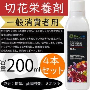 ؉ԉh{ ʏҗp 200ml 4{Zbg ԗp } t ؉ԗp ؂ lC  t[AWg  ԍ  |pi t[Ct  ph ~l 50{ 