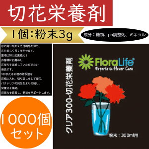 ؉ԉh{ җp 3g oN 1000Zbg ԗp } t ؉ԗp ؂ lC t[AWg  ԍ  |pi  t[Ct  ph ~l 10