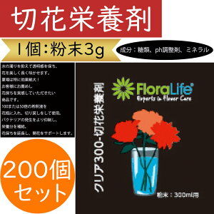 ؉ԉh{ җp 3g 200Zbg ԗp } t ؉ԗp ؂ lC t[AWg  ԍ  |pi  t[Ct  ph ~l 100{ 