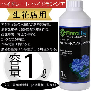 nCh[g nChWA 100 1bg gi  z AWTCނɌʓI ԓXp ԉ ԗp } t ؉ԗp ؂ lC  t[AWg 