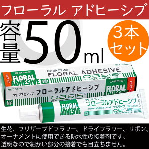 IAVX t[ Ahq[Vu 3{Zbg 1{50ml ڒ  ԍ    vU[uht[ { I[ig AW fBXvC `[u^Cv