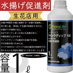 NCbNfBbv100 gi 1bg ԓXp ԉ Ԕ̔X lC ؉ ؂ } t t[AWg ԍ  |pi  Eʊ ph ~l