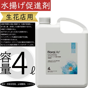 NCbNfBbv100 gi 4bg ԓXp ԉ Ԕ̔X lC ؉ ؂ } t t[AWg ԍ  |pi  Eʊ ph ~l