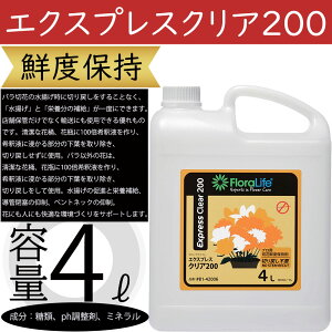 GNXvXNA200 4bg o ΂ KN [Y Nxێ g ԓXp ԉ ԗp } t ؉ԗp ؂ lC t[AWg  ԍ  |pi X