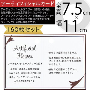 A[eBtBVt[p ԗp  bZ[W J[h  lC ԍ  AeVJ[h }eA Mtg v[g bsO t[AWg |pi 