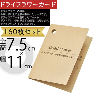 hCt[p  bZ[W J[h  lC ԍ  AeVJ[h }eA Mtg v[g bsO t[AWgpi t[ |pi 