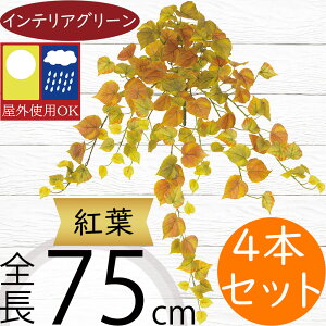 tFCNO[ Op  lC CeAO[ A ϗtA  A[gvc lHϗtA  IuWF t[AWg fBXvC   oRj[