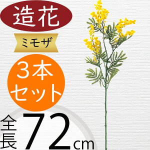 ~U   lC A[eBtBVt[ Mtg v[g A t[AWg fBXvC  ԍ  A[gt[ CeAO[ tFCNO