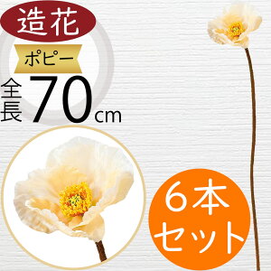 |s[   A A[eBtBVt[ lC lHϗtA CeAO[ A[gt[ G Ƌ tFCNO[ t[AWg IuWF fBXv