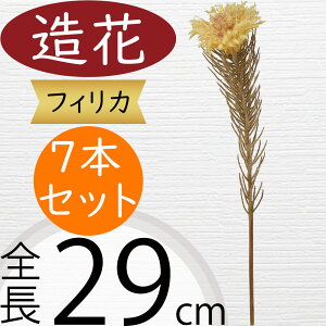 tBJ   lC A[eBtBVt[ A lHϗtA tFCNO[ t[AWg fBXvC pi CeA IuWF ԍ  G A[