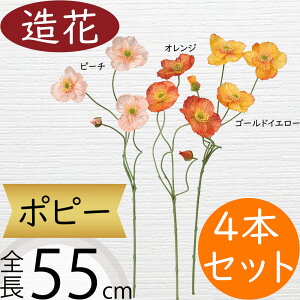 |s[   A A[eBtBVt[ lC lHϗtA CeAO[ A[gt[ G Ƌ tFCNO[ t[AWg IuWF fBXv