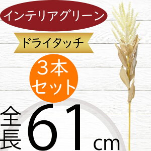 tFCNO[  CeAO[ lC A  lHϗtA A[gvc A[gO[ A[eBtBVt[ ԍ t [t t[AWg f