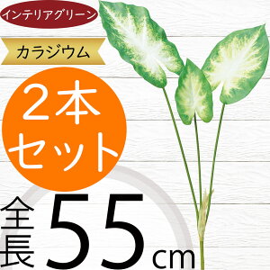 JWE JW[  tFCNO[  lC A  CeAO[ lHϗtA  lH A[gO[ IuWF { CeA t