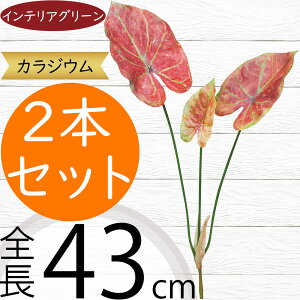 JWE JW[  tFCNO[  lC A  CeAO[ lHϗtA  lH A[gO[ IuWF { CeA t