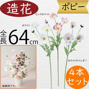 |s[   A A[eBtBVt[ lC lHϗtA CeAO[ A[gt[ G Ƌ tFCNO[ t[AWg IuWF fBXv