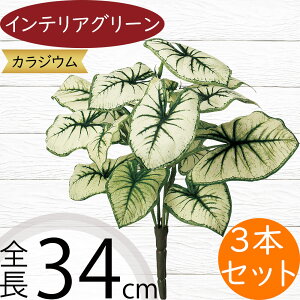 tFCNO[  CeAO[ JWE A lHϗtA lC A[gvc A[gO[  A[eBtBVt[ t t[AWg fB