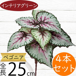 xSjA tFCNO[  lC A  CeAO[ lHϗtA  lH CeA IuWF A[gO[ t[AWg fBXvC 