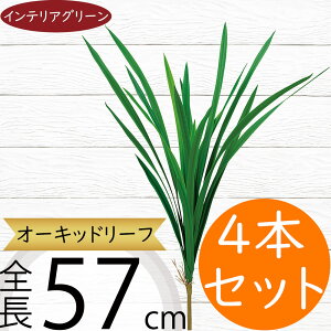 tFCNO[  lC CeAO[ A lHϗtA  A[gvc A[gO[ ϗtA ChAO[ CeA IuWF t[AWg 