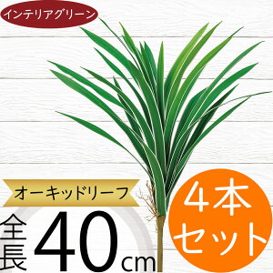 tFCNO[  lC CeAO[ A lHϗtA  A[gvc A[gO[ ϗtA ChAO[ CeA IuWF t[AWg 