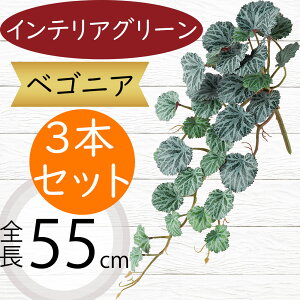 xSjA }N[^ tFCNO[  lC A  CeAO[ lHϗtA  lH ϗtA CeA IuWF A[gO[ t[AW