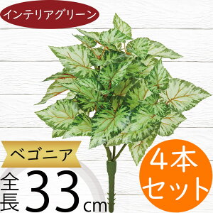 xSjA tFCNO[  lC A  CeAO[ lHϗtA  lH CeA IuWF A[gO[ t[AWg fBXvC 