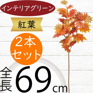 tFCNO[ ^  lC CeAO[ A ϗtA  A[gvc CeA lHϗtA lH } t t ԍ  IuWF t[AW