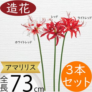 A}X   lC A[eBtBVt[ A A t[AWg fBXvC  ^ 傫 傫 Mtg v[g CeA IuWF G 