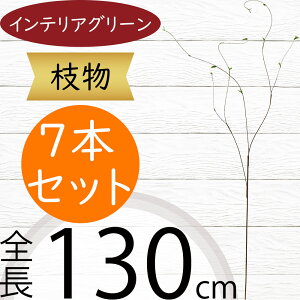 } ^ CeA tFCNO[  lC CeAO[ A  lHϗtA ԍ A[gvc t[AWg fBXvC  G Ƌ } 