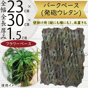 tFCNO[  lC CeAO[ A lHϗtA  A[gvc A[gO[ CeA IuWF Ƌ Ǌ|p ǖ  fBXvC AWg