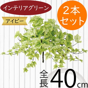 ACr[ tFCNO[  lC CeAO[ A ϗtA  A[gvc CeA Ƌ lHϗtA lH A[gO[ } t t ԍ IuWF 