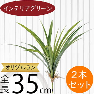 tFCNO[ Id  lC CeAO[ A lHϗtA  lH A[gvc A[gO[ ϗtA ChAO[ CeA IuWF 