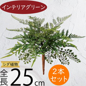 tFCNO[ lC  A ϗtA CeAO[ lHϗtA  A[gO[  ԍ CeA IuWF t[AWg fBXvC t@[ ^