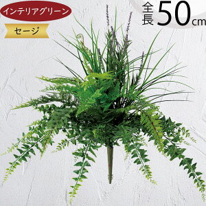 tFCNO[  CeAO[ lC A lHϗtA  A[gO[ A[gvc lH ԍ t CeA IuWF t[AWg fBXv