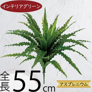 tFCNO[  CeAO[ lC A lHϗtA  A[gO[ A[gvc lH ԍ t CeA IuWF t[AWg fBXv