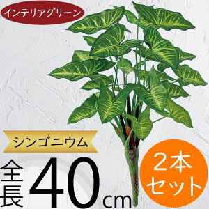 tFCNO[  VSjE CeAO[ lC A lHϗtA  A[gO[ A[gvc lH ԍ t CeA IuWF t[AW