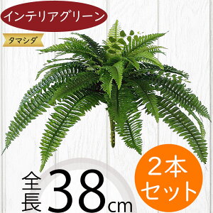 tFCNO[ lC  A ϗtA CeAO[ lHϗtA  A[gO[ lH ԍ t CeA IuWF t[AWg fBXvC t@