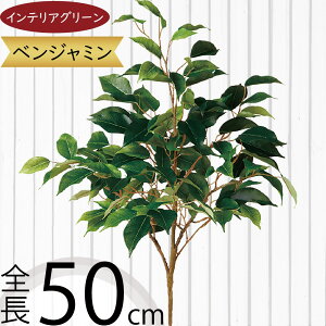 tFCNO[ xW~  lC CeAO[ A lHϗtA  lH A[gvc A[gO[ ϗtA ChAO[ CeA IuWF i