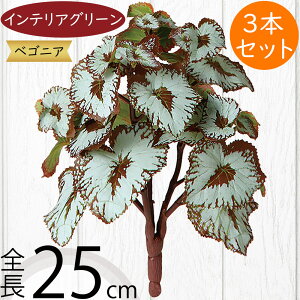 xSjA tFCNO[  lC A  CeAO[ lHϗtA  lH CeA IuWF A[gO[ t[AWg fBXvC 