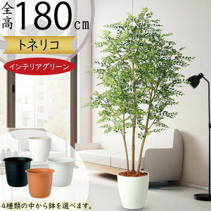 フェイクグリーン おしゃれ 人気 リアル おすすめ トネリコ インテリアグリーン 造花 人工観葉植物 人工樹木 鉢付き アートグリーン オブジェ シマトネリコ 大型 大きい 大きめ 室内 リビン