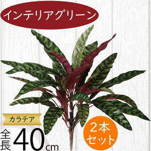 tFCNO[ lC  A ϗtA CeAO[ lHϗtA  A[gO[ lH ԍ t CeA IuWF t[AWg fBXvC J