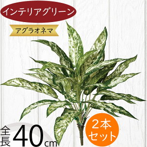 tFCNO[ lC  A ϗtA CeAO[ lHϗtA  A[gO[ lH ԍ t CeA IuWF t[AWg fBXvC AO