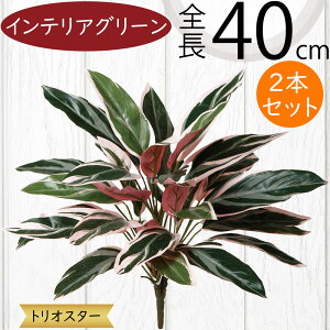 tFCNO[ lC  A ϗtA CeAO[ lHϗtA  A[gO[ lH ԍ t CeA IuWF t[AWg fBXvC Xg