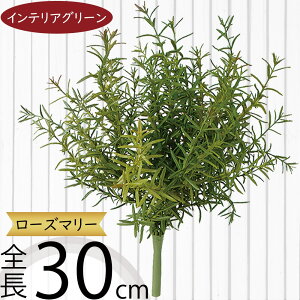 �t�F�C�N�O���[�� ���[�Y�}���[ �n�[�u ������� �l�C �C���e���A�O���[�� ���A�� �l�H�ϗt�A�� ���� �l�H���� �A�[�g�v�����c �A�[�g�O���[�� �ϗt�A�� �C���h�A�O���[�� �C���e���A �G�� 