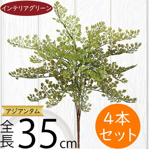 tFCNO[  lC  CeAO[ A AWA^  t[AWg fBXvC IuWF lHϗtA lH A[gO[  ԍ t