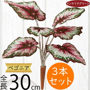 xSjA tFCNO[  lC A  CeAO[ lHϗtA  lH CeA IuWF A[gO[ t[AWg fBXvC 