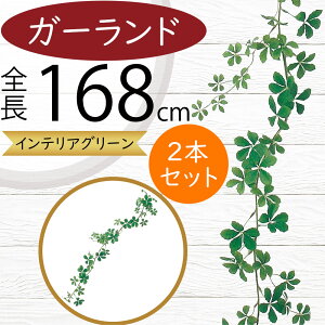 K[h  lC  A tFCNO[ CeAO[ lHϗtA  A[eBtBVt[ fR[V fBXvC t ǖʑ V t